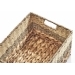 Image_31219-03-01.jpg